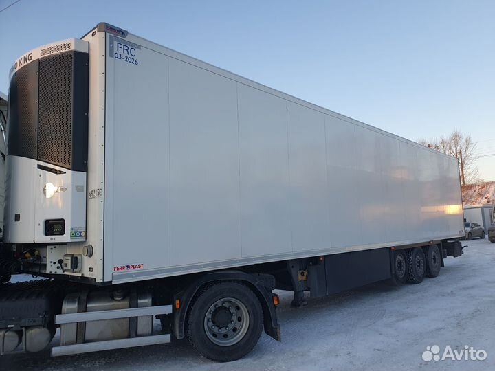 Полуприцеп тушевоз Schmitz Cargobull SKO 24/L-13.4 FPK 60 Cool, 2020