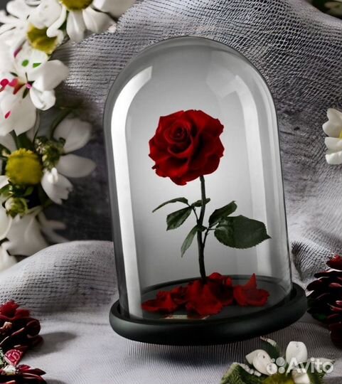 Стабилизированная Роза в колбе на День победы