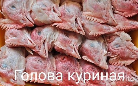 Мясо для Собак