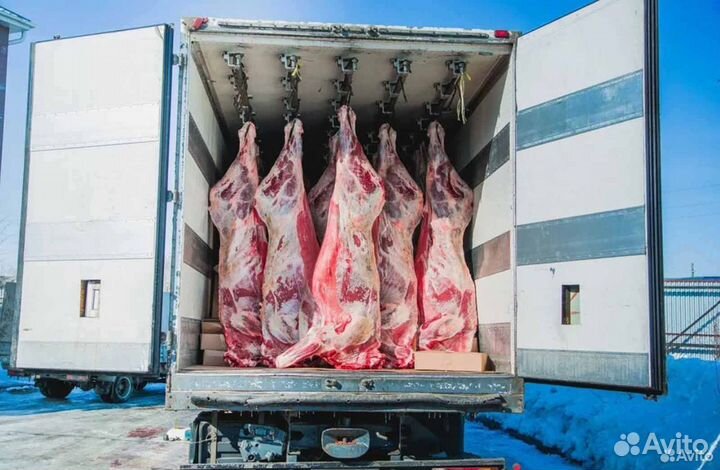 Ищу инвестора/партнера, доход 22 тр/мес