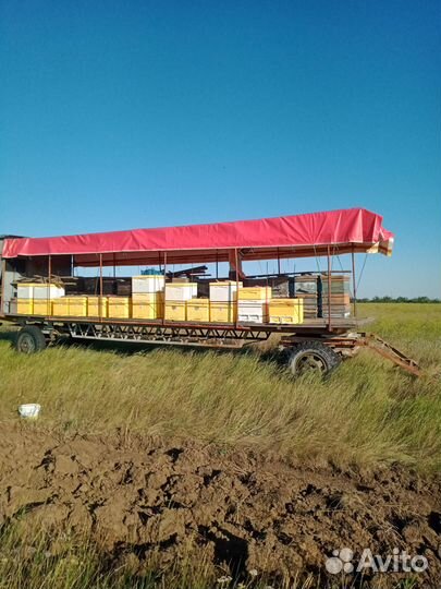 Продам платформу - прицеп