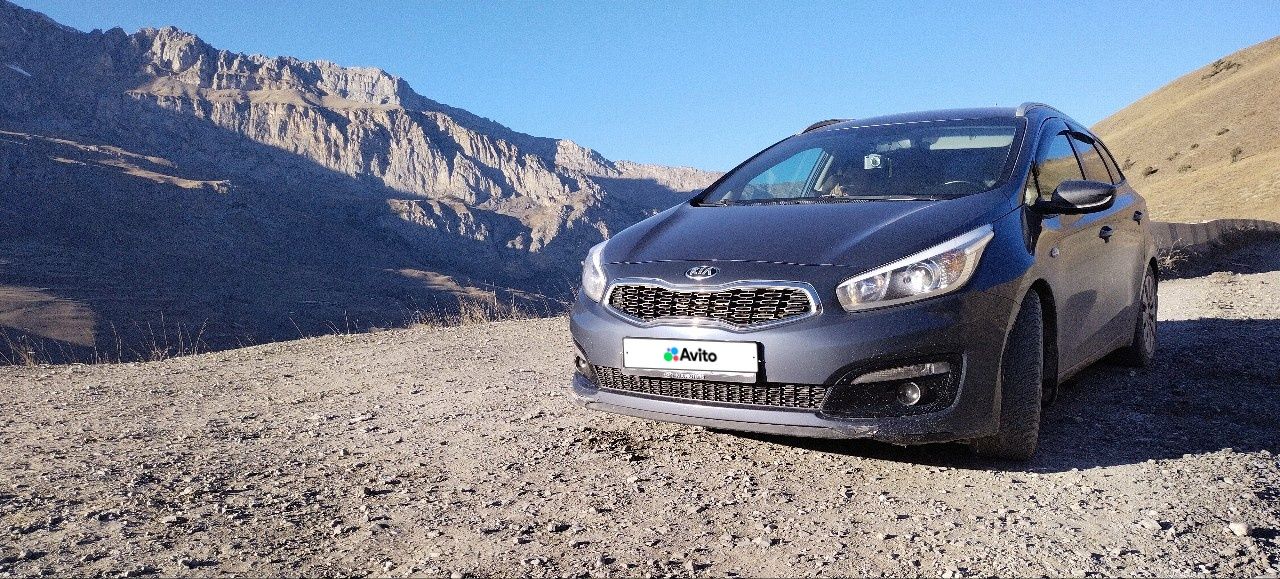 Kia Ceed: фото владельца