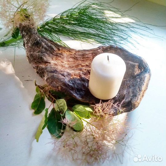 Дрифтвуд. Коряга с моря