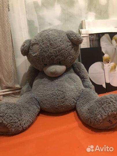 Мишка Тедди