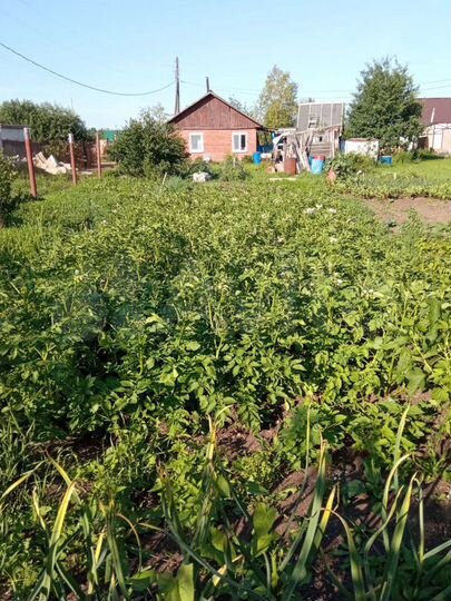 Дача 35 м² на участке 13,6 сот.