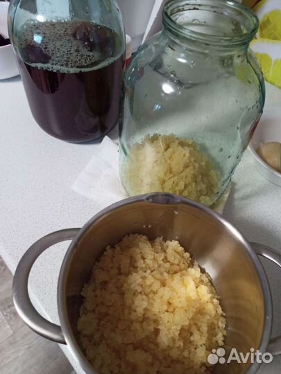 Квасной рис