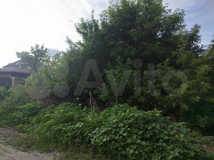 Участок 6 сот. (СНТ, ДНП)