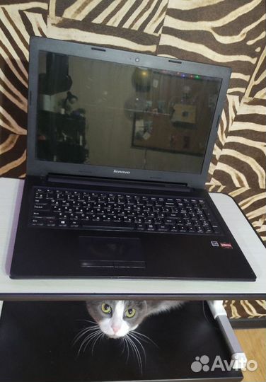 Ноутбук lenovo G505S