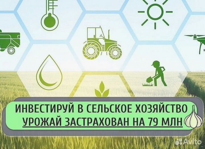 Инвестиции в сельское хозяйство, пассивный доход