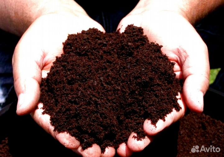 Песок в Москву