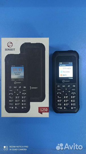 SENSEIT L250, 4 ГБ