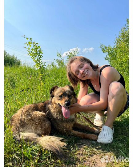 Чудо собачка для семьи