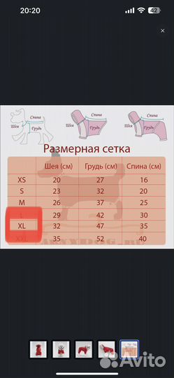 Комбинезон для маленькой собаки