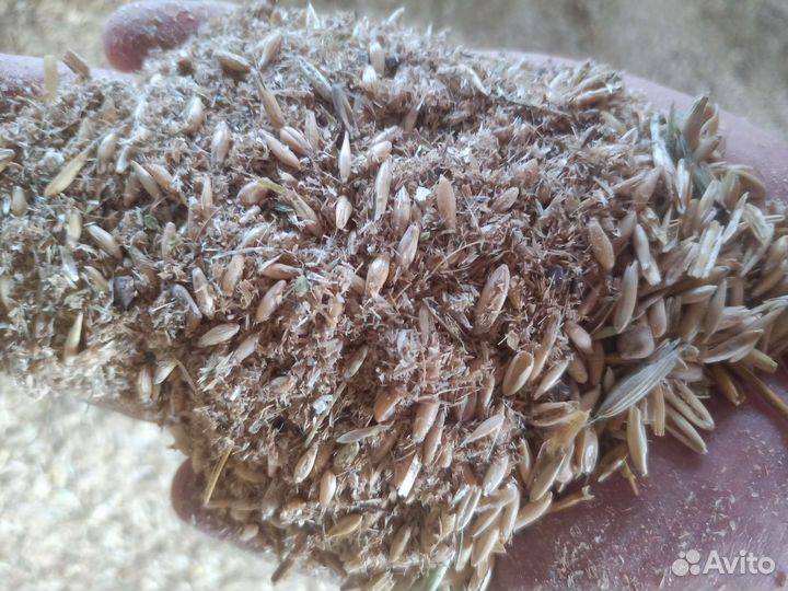 Овсяные отходы насыпью