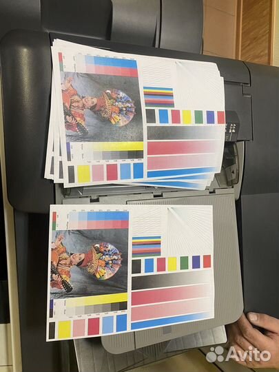 Konica minolta bizhub c552 цветная типография