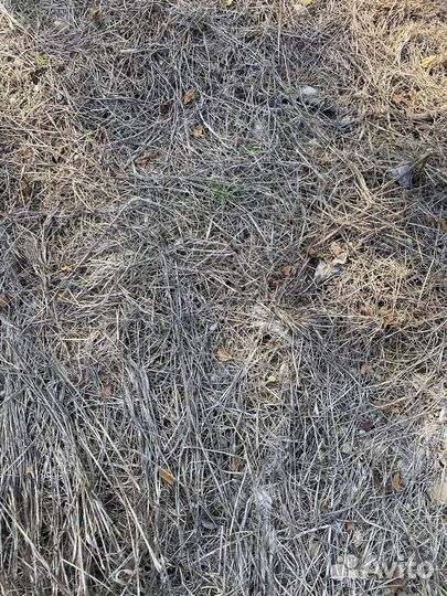 Гербицид железнодорожный от сорняков Торнадо 540