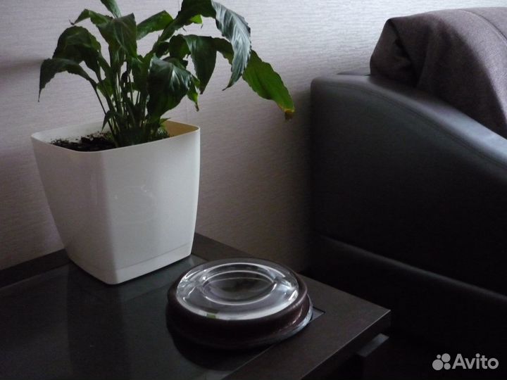 Пепельница Kangaroo Италия