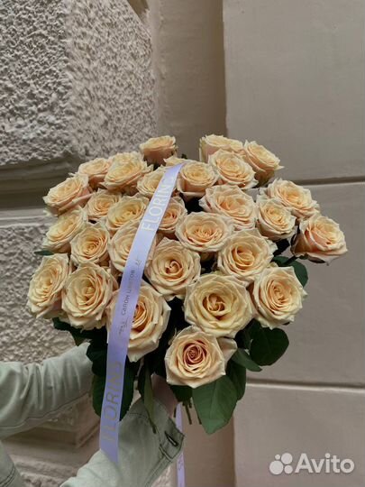 Роза Россия