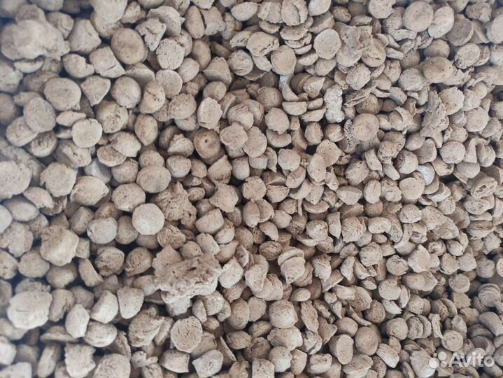 Корм и наполнитель для взрослых собак и кошек