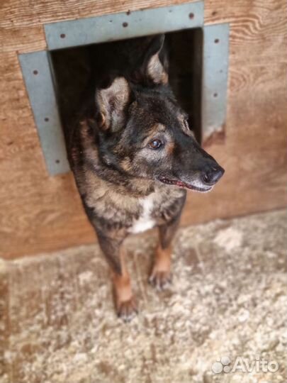 Вся жизнь - сплошная боль