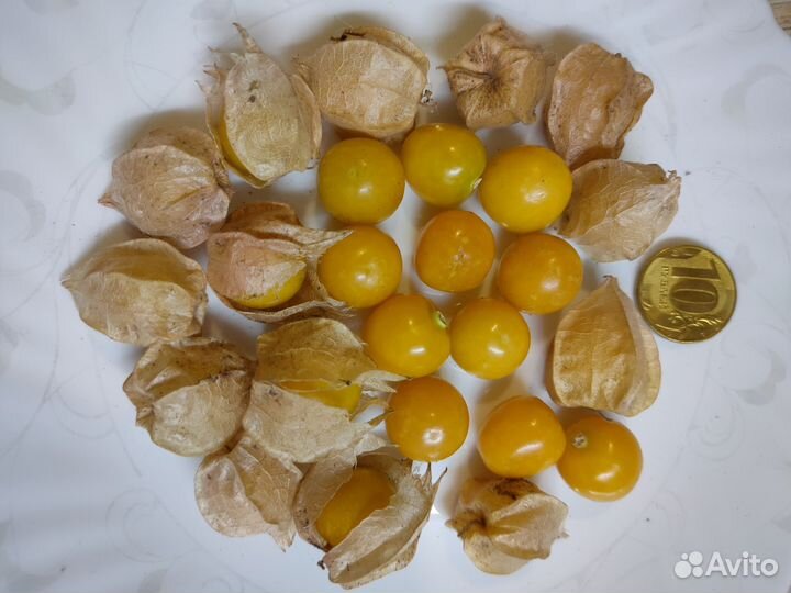 Экзотика семена