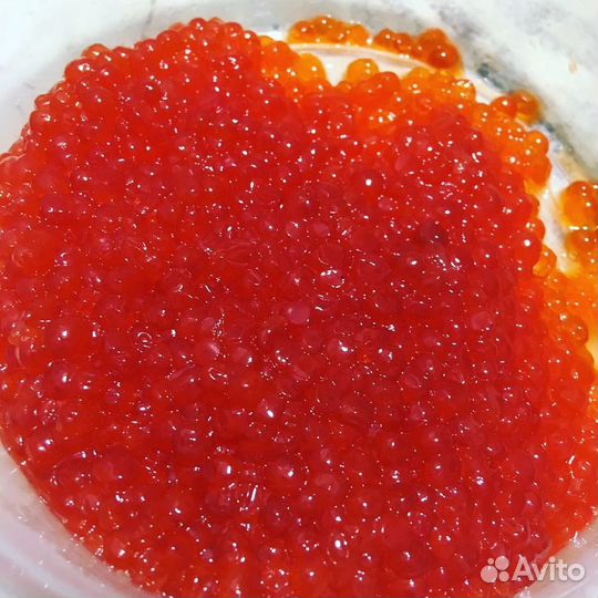 Морепродукты