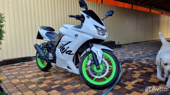 Кавасаки Ниндзя 250