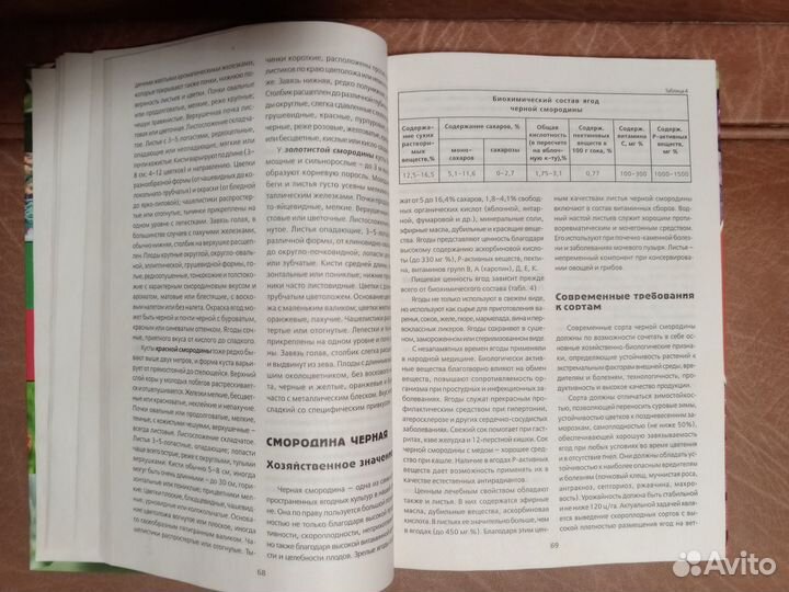 А.В.Исачкин 