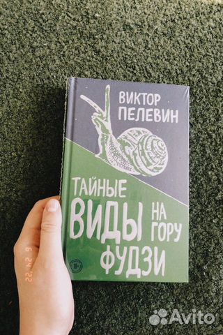 «Тайные виды на гору Фудзи», Виктор Пелевин