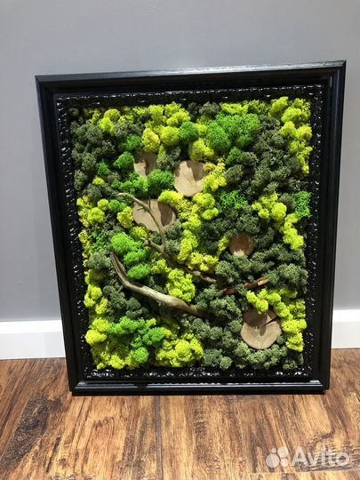 Картина из стабилизированного мха ручная авторская