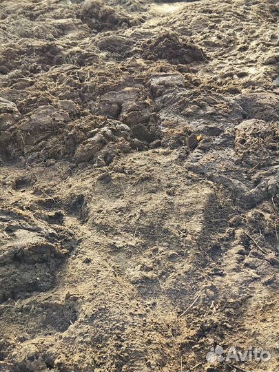 Навоз коровий