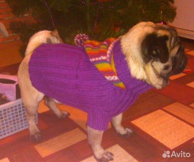 Кофта, толстовки, шапка и комбинезоны для собак