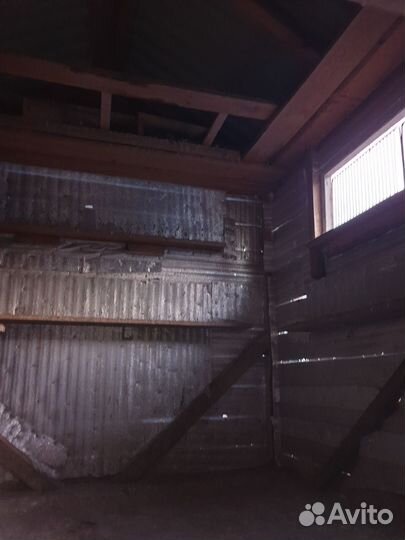 Голубятня продажа