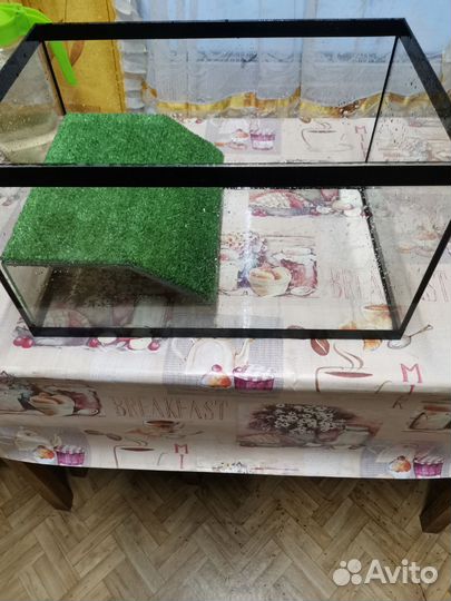 Аквариум черепашник