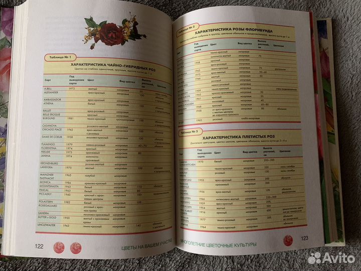 Цветы на вашем участке Октябрина Ганичкина