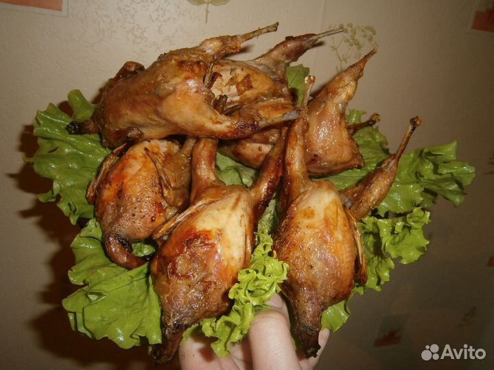 Тушки перепелов, цыплята корнишоны, бройлеры, утки