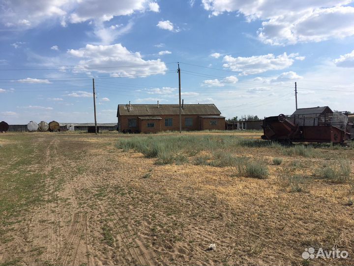 Фермерское хозяйство