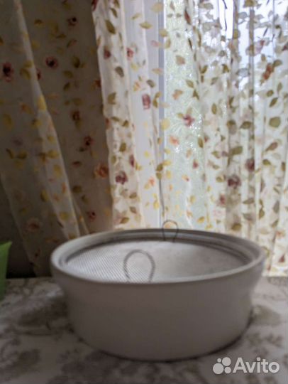 Проращиватель, глиняный, Германия