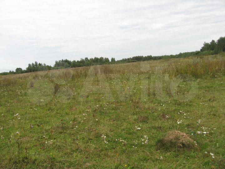 Участок 40 га (СНТ, ДНП)