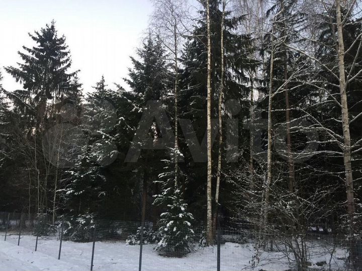 Участок 24 сот. (СНТ, ДНП)