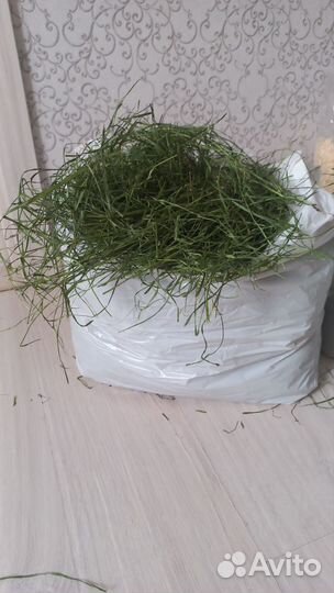 Сено для морских свинок и кроликов