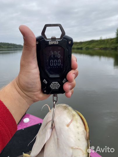 Рыбалка с гидом