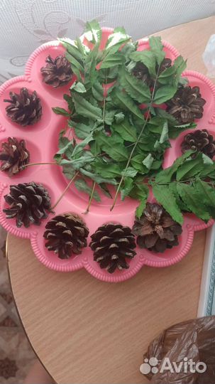 Заготовки для попугаев