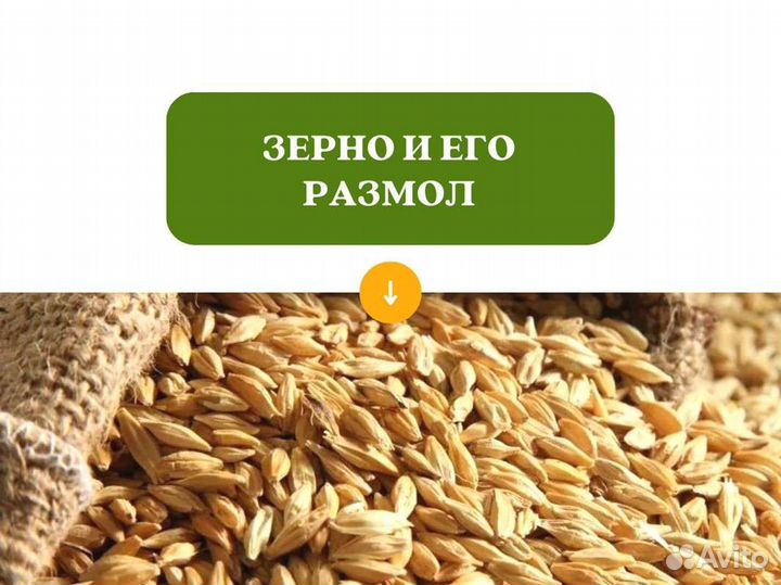 Пшеница Размол (кг)