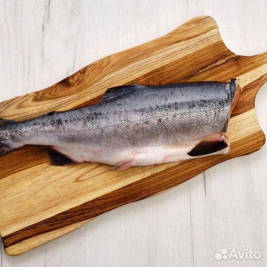 Кета пбг 2023г