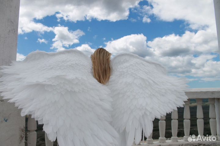 Крылья Ангела