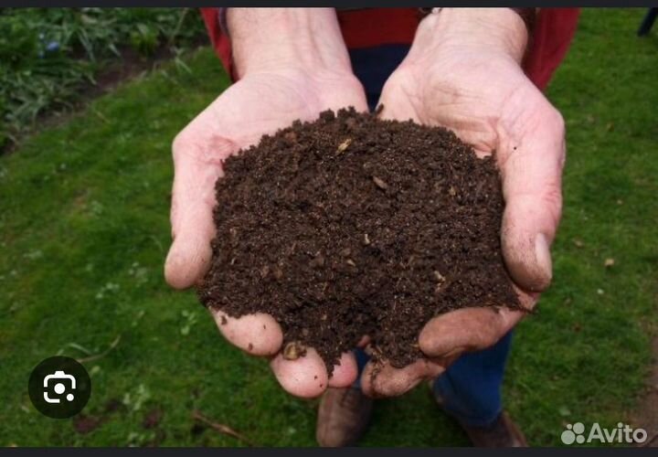 Перегной в мешках с доставкой