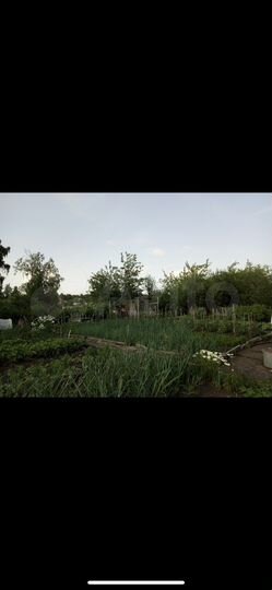 Участок 6 сот. (СНТ, ДНП)