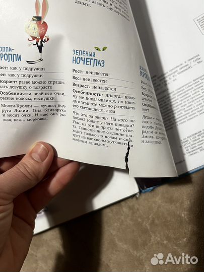 Книга Большие заботы весёлых кроликов