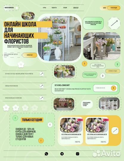 Веб дизайнер